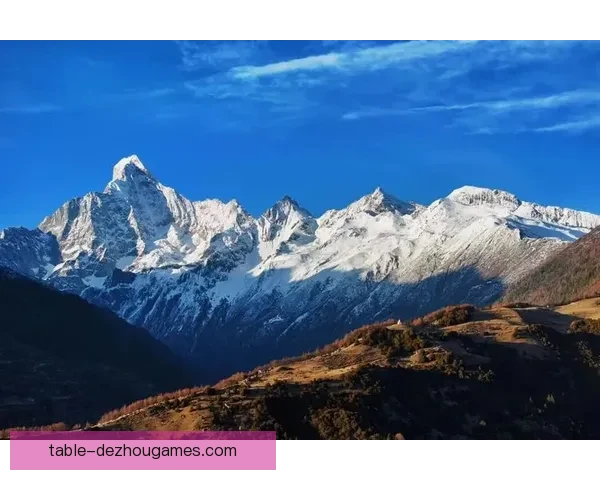 尼日尔龙卷风2-0赛事全景解析与维基旅行者探秘指南